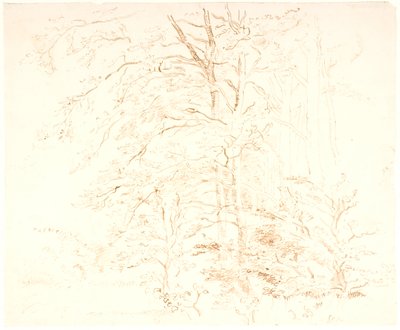 Estudios de árboles de Dankvart Dreyer