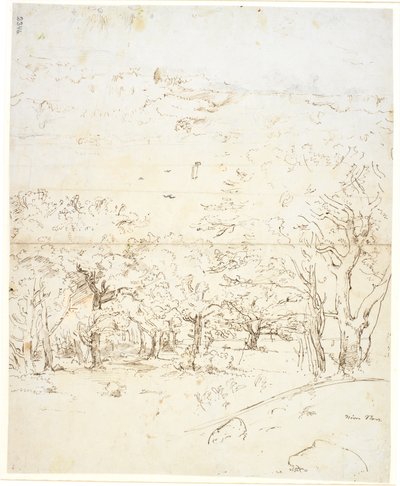 Vista a través de un bosque hacia un estrecho de Dankvart Dreyer