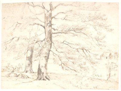Vista de un Paisaje, en Primer Plano Grandes Hayas de Dankvart Dreyer