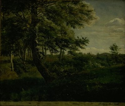 Bosque de Ørsbjerg en Aarup, Funen de Dankvart Dreyer