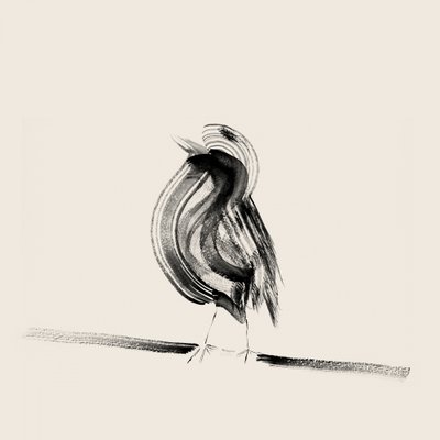 Elegante pájaro de tinta de Danushka Abeygoda