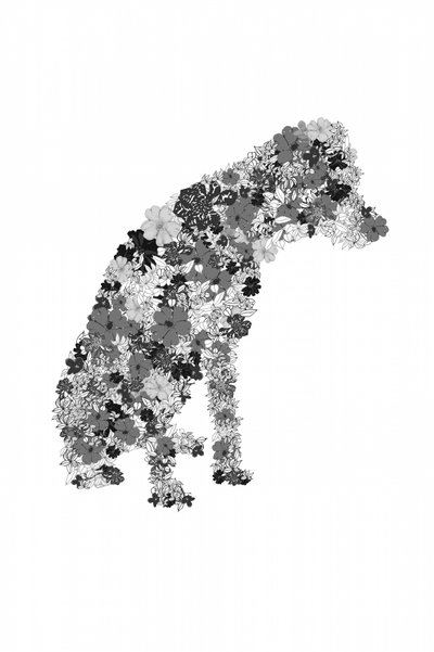 Silueta de un perro con motivos florales de Danushka Abeygoda