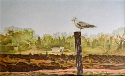 Gaviota solitaria, 2022 (lápiz sobre papel) de Darrell Windjack