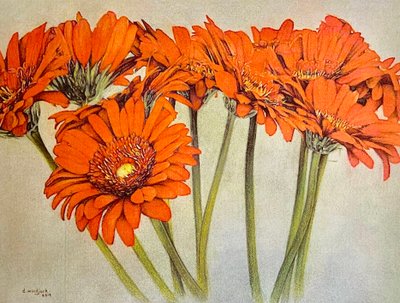 Orange Burst, 2019 (lápiz, acrílico sobre papel) de Darrell Windjack