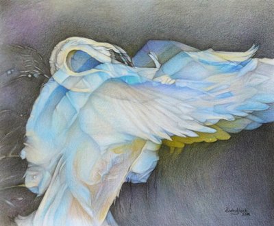 Alzando el vuelo, 2019 (lápiz sobre papel) de Darrell Windjack