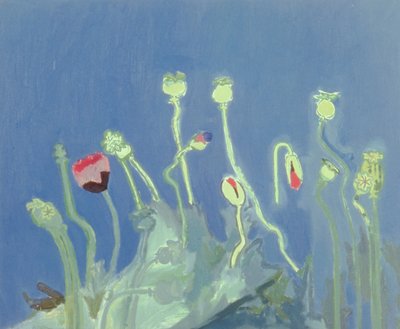 Poppyheads (óleo sobre lienzo) de David Alan Redpath Michie