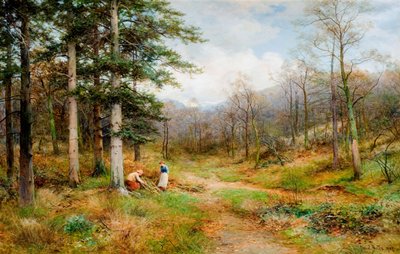 En The Long Mynd, Church Stretton de David Bates