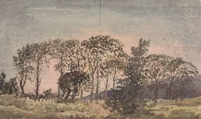Paisaje con árboles de David Charles Read