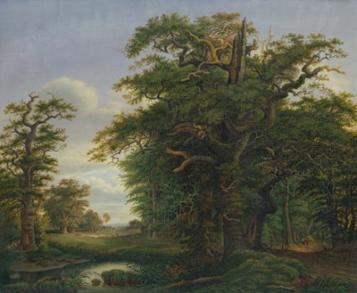 Bosque de robles, 1847 de David Christopher Mettlerkamp