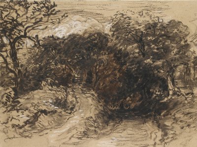 Un Camino Hueco cerca de Harborne, Derbyshire de David Cox