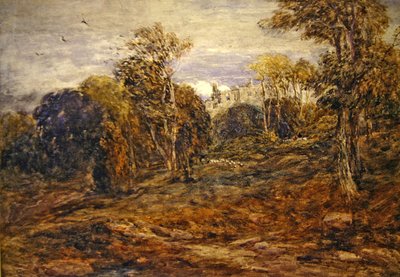 Torre de Barden de David Cox