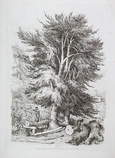 Haya no. 18, ilustración de Lecciones progresivas sobre paisaje para jóvenes principiantes, 1816 de David Cox