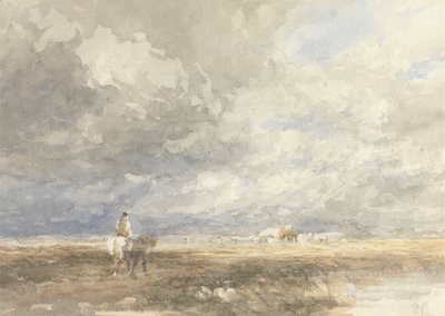 Ir a Hayfield de David Cox