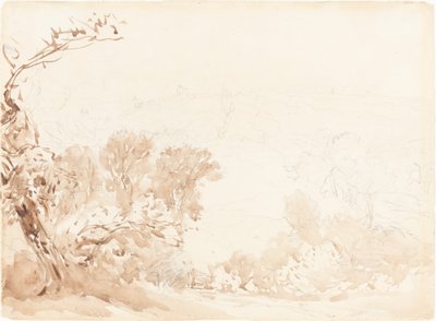 Ladera y árboles de David Cox