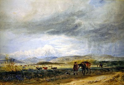 Praderas de Llugwy de David Cox