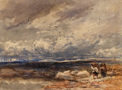 En Carrington Moss de David Cox