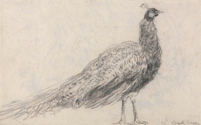 Pavo real en Capel Curig de David Cox