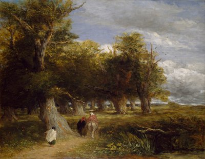 Faldas del Bosque, 1855 de David Cox