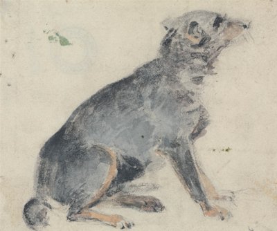 Estudio de un perro de David Cox