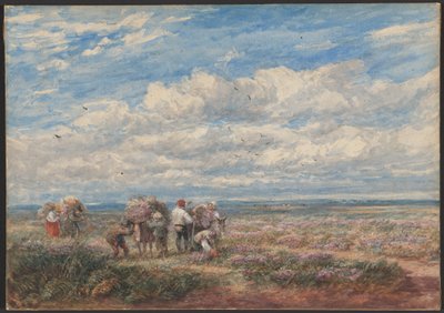  de David Cox
