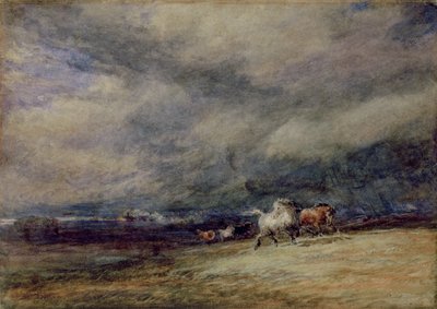 El tren nocturno de David Cox