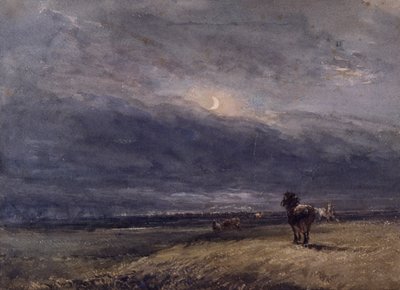 El tren nocturno de David Cox