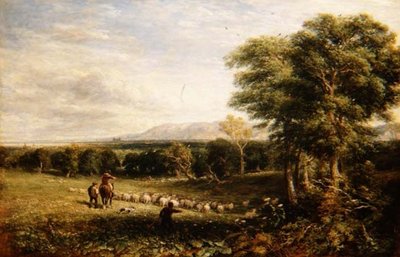 El valle de Clwyd de David Cox