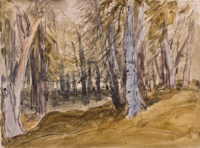 Árboles en Box Hill de David Cox
