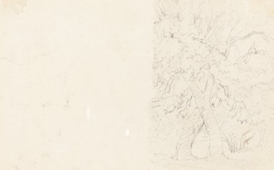 Árboles (verso) de David Cox