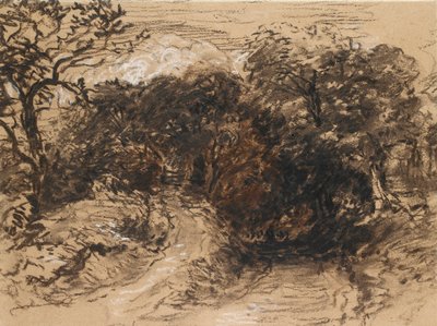 Un camino hueco cerca de Harborne, Derbyshire, siglo XIX de David Cox the elder