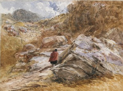 Paso de montaña en Bettws-y-Coed, 1851 de David Cox the elder