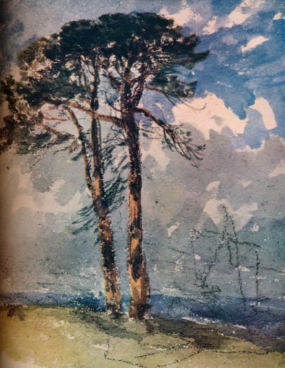 Pinos escoceses de David Cox the elder