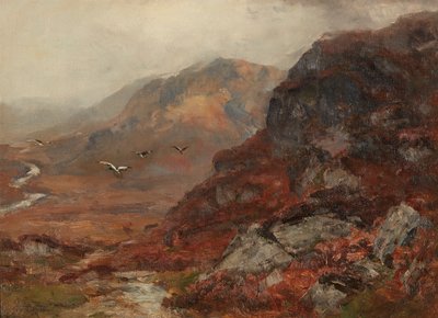Colinas de las Tierras Altas de David Farquharson