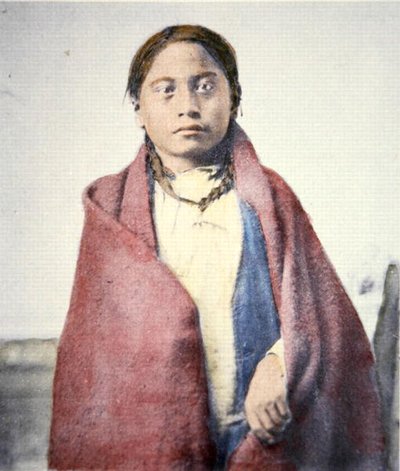 Crow Foot (d.1890) de David Frances Barry