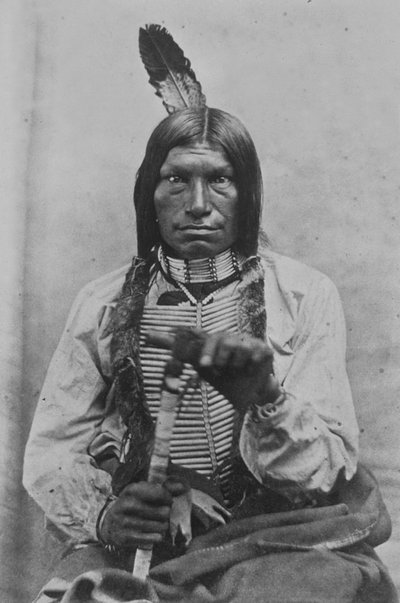 Jefe de Guerra Low Dog de David Frances Barry