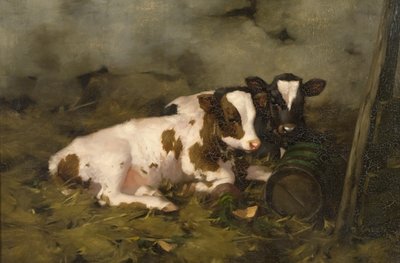 Terneros, c.1900 de David Gauld