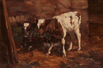 Dos terneros junto a un barril de agua de David Gauld