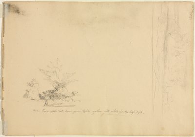 Estudios de paisaje y árbol, c. 1851 de David Johnson