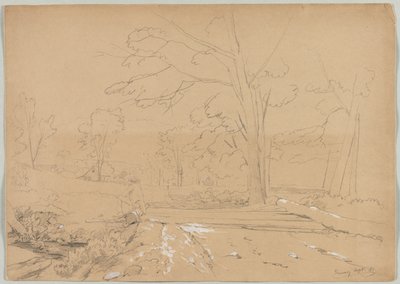 Paisaje con hombre pescando, Conway, New Hampshire de David Johnson