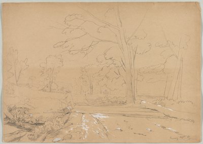 Paisaje con hombre pescando, Conway, New Hampshire, 1851 de David Johnson