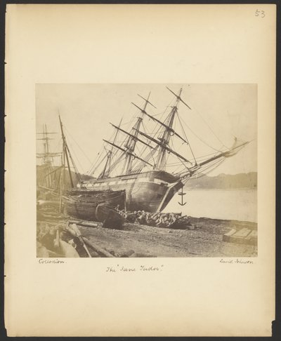 La "Jane Tudor" de David Johnson