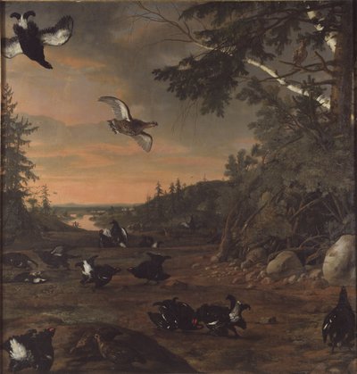 Gallos negros en el suelo de David Klöcker Ehrenstrahl