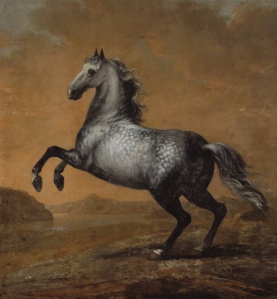 El pequeño inglés, caballo del rey Karl XI (1655-97) de David Klöcker Ehrenstrahl