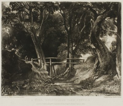Un valle, Parque Helmingham, Suffolk de David Lucas