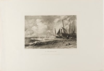 Una playa de David Lucas