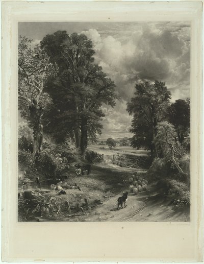 El campo de maíz de David Lucas