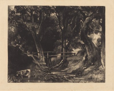 Un Valle, Parque Helmingham, Suffolk de David Lucas after John Constable