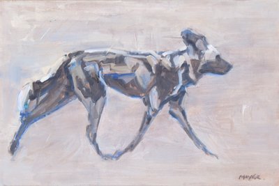 Perro pintado africano (perro salvaje), 2024 (óleo sobre lienzo) de David Mayer