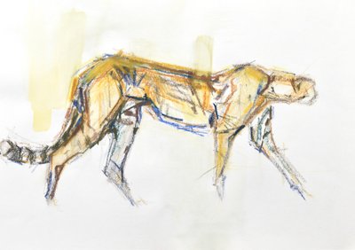 Cheetah, 2020 (crayón y acuarela sobre papel) de David Mayer