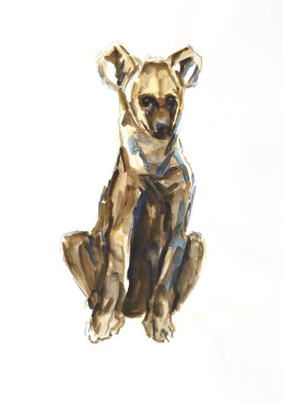 Cachorro de hiena, 2020 (acuarela, crayón y gouache sobre papel) de David Mayer